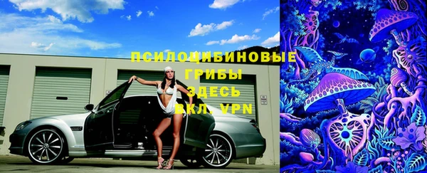ПСИЛОЦИБИНОВЫЕ ГРИБЫ Гусев