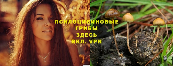 ПСИЛОЦИБИНОВЫЕ ГРИБЫ Гусев