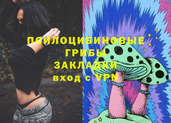 mdpv Гусиноозёрск
