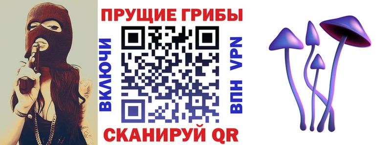 Псилоцибиновые грибы Magic Shrooms  Иваново 